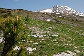 27 Sentiero Rifugio Capanna 2000